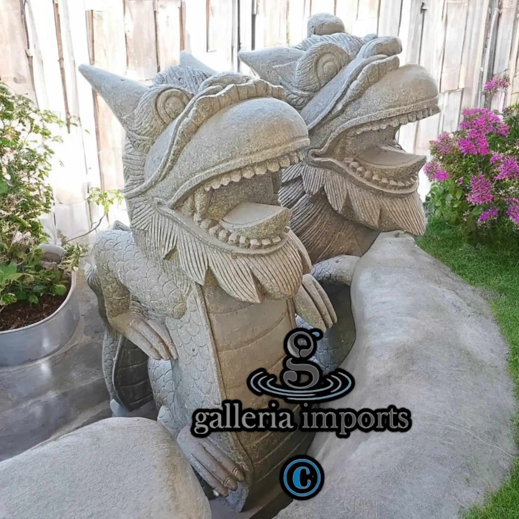 Standing Dragon Pair 100cm | 39" H